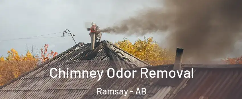 Chimney Odor Removal Ramsay - AB