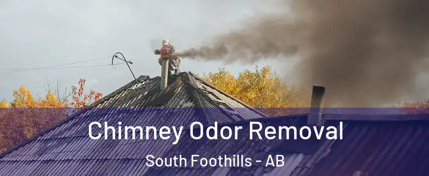Chimney Odor Removal South Foothills - AB
