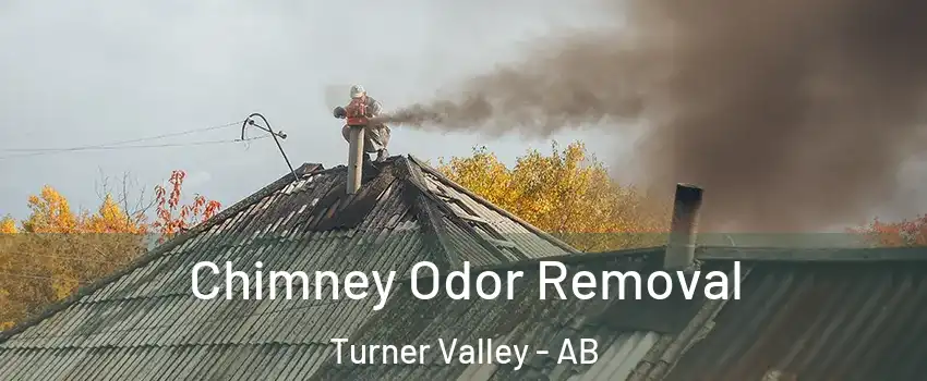 Chimney Odor Removal Turner Valley - AB