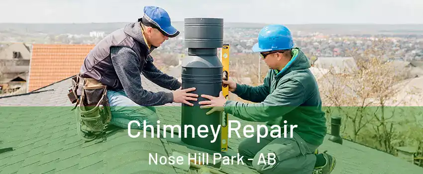 Chimney Repair Nose Hill Park - AB