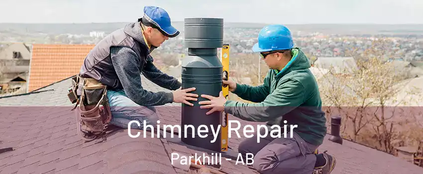 Chimney Repair Parkhill - AB