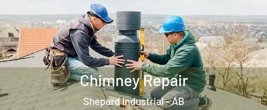 Chimney Repair Shepard Industrial - AB
