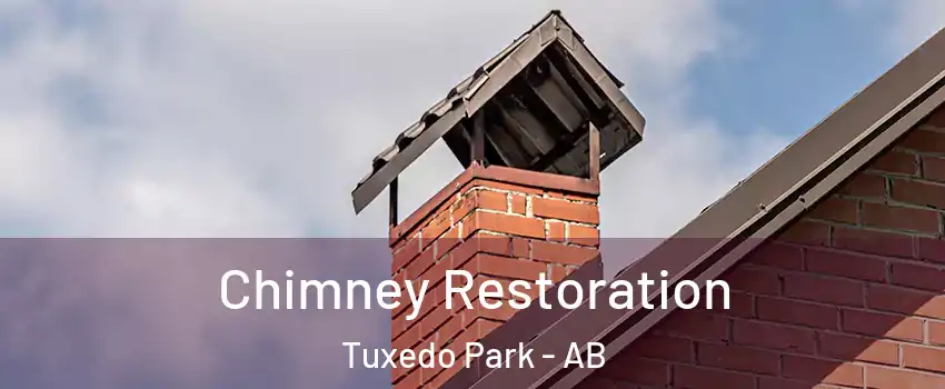 Chimney Restoration Tuxedo Park - AB