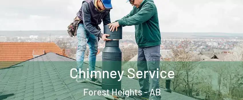 Chimney Service Forest Heights - AB