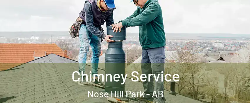 Chimney Service Nose Hill Park - AB