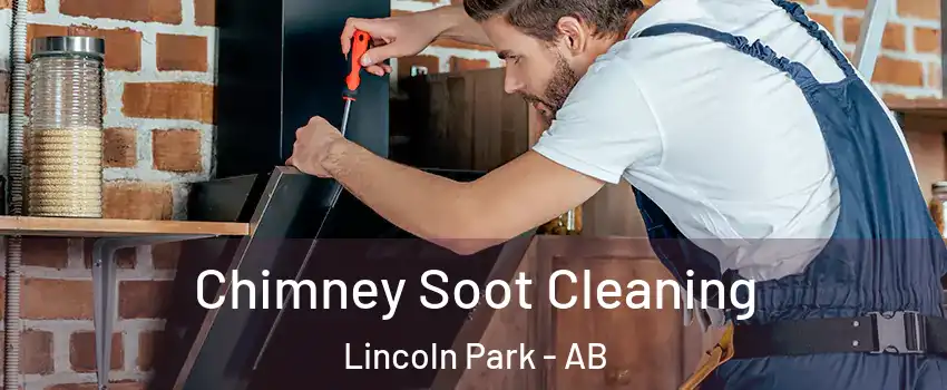 Chimney Soot Cleaning Lincoln Park - AB