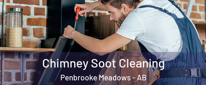 Chimney Soot Cleaning Penbrooke Meadows - AB
