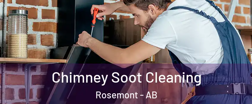 Chimney Soot Cleaning Rosemont - AB
