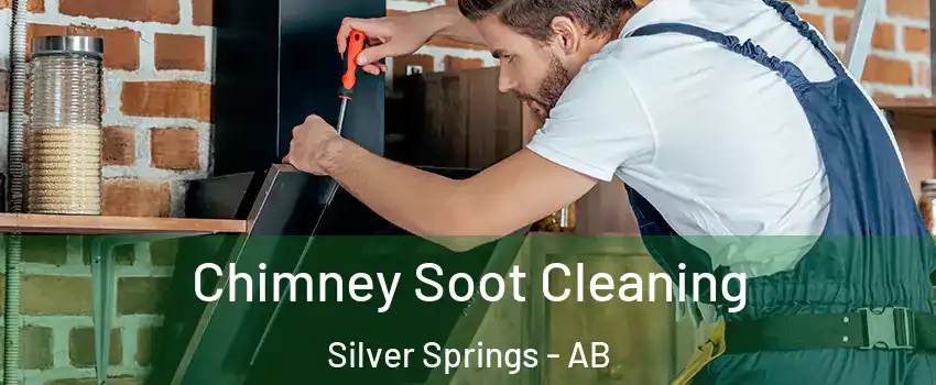 Chimney Soot Cleaning Silver Springs - AB