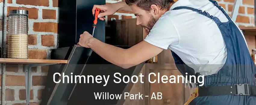 Chimney Soot Cleaning Willow Park - AB