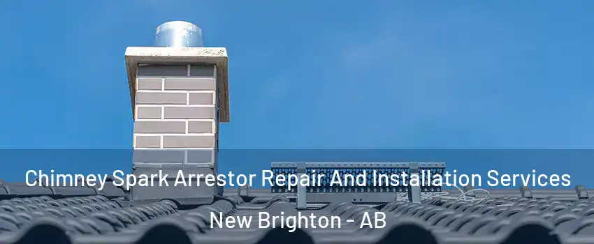 Chimney Spark Arrestor Repair And Installation Services New Brighton - AB