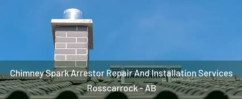 Chimney Spark Arrestor Repair And Installation Services Rosscarrock - AB