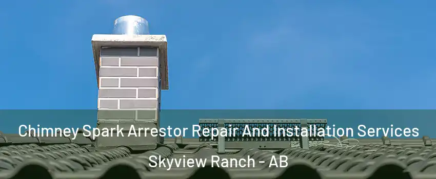 Chimney Spark Arrestor Repair And Installation Services Skyview Ranch - AB