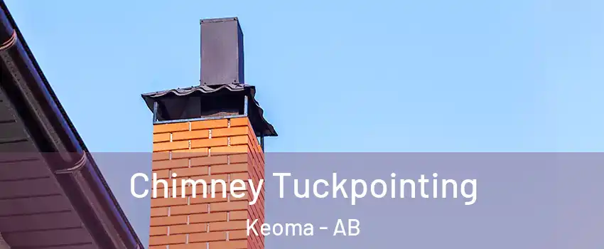 Chimney Tuckpointing Keoma - AB