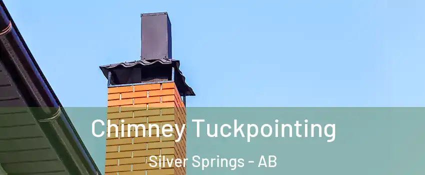 Chimney Tuckpointing Silver Springs - AB