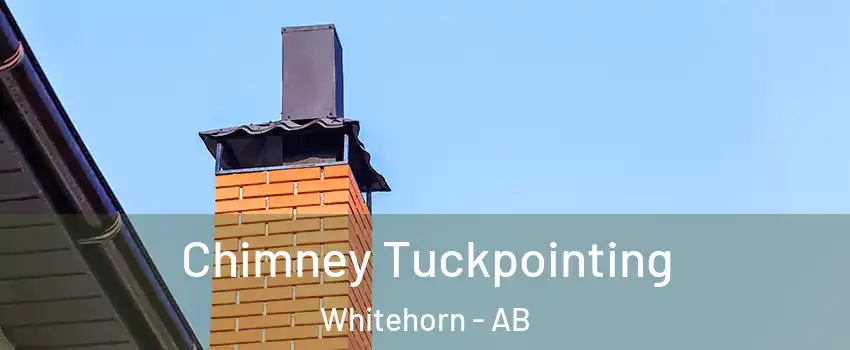 Chimney Tuckpointing Whitehorn - AB