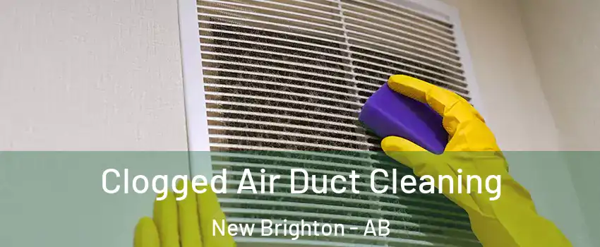 Clogged Air Duct Cleaning New Brighton - AB