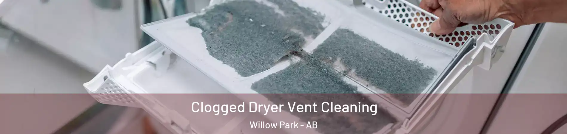 Clogged Dryer Vent Cleaning Willow Park - AB
