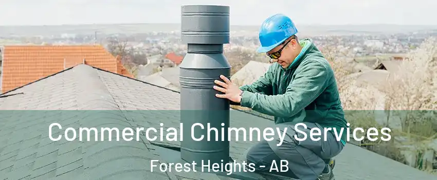 Commercial Chimney Services Forest Heights - AB