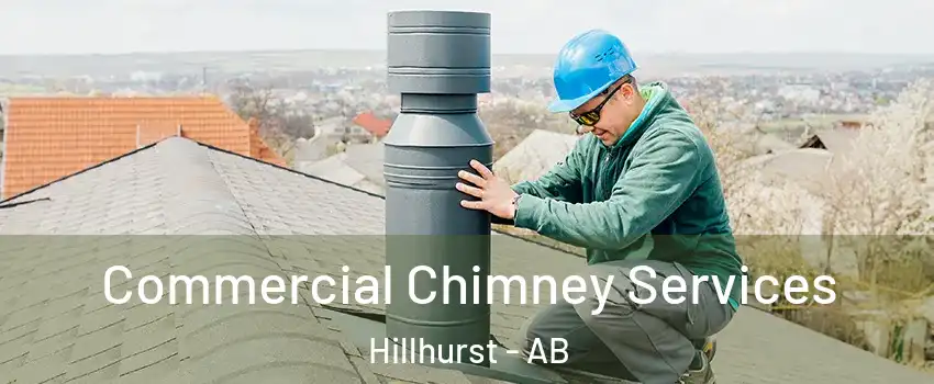 Commercial Chimney Services Hillhurst - AB