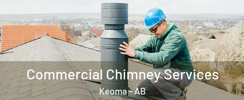Commercial Chimney Services Keoma - AB