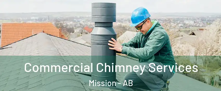 Commercial Chimney Services Mission - AB