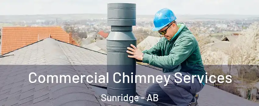 Commercial Chimney Services Sunridge - AB