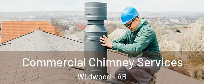 Commercial Chimney Services Wildwood - AB