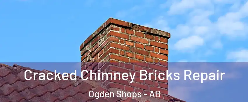 Cracked Chimney Bricks Repair Ogden Shops - AB