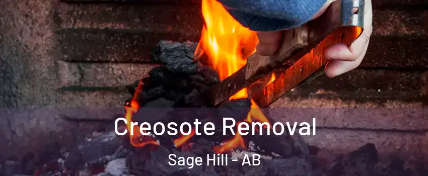 Creosote Removal Sage Hill - AB