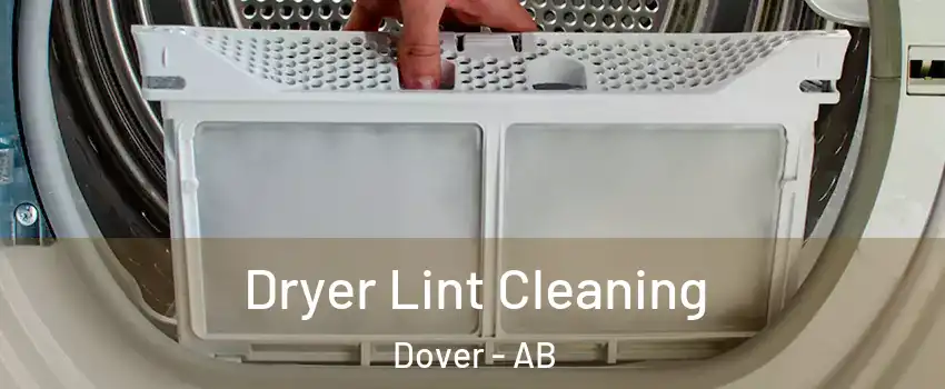 Dryer Lint Cleaning Dover - AB