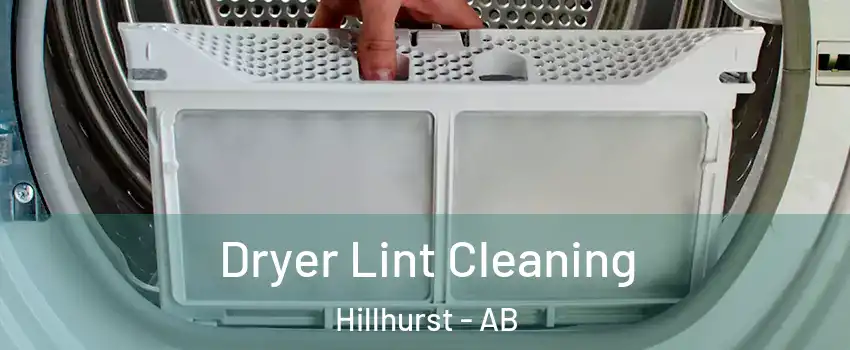 Dryer Lint Cleaning Hillhurst - AB