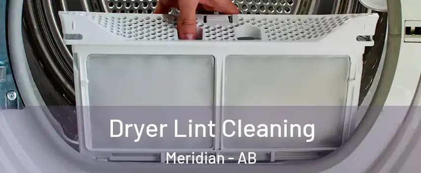 Dryer Lint Cleaning Meridian - AB