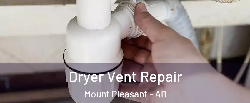 Dryer Vent Repair Mount Pleasant - AB