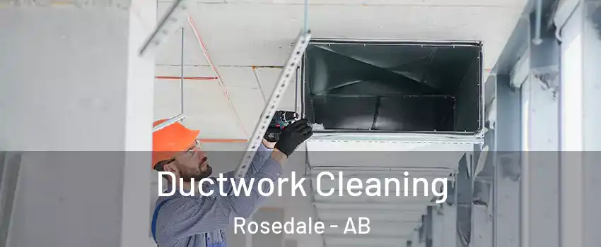 Ductwork Cleaning Rosedale - AB