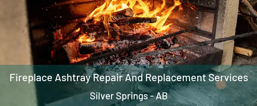 Fireplace Ashtray Repair And Replacement Services Silver Springs - AB