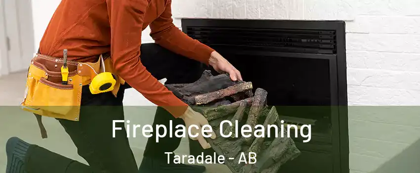 Fireplace Cleaning Taradale - AB