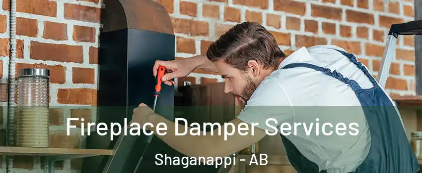 Fireplace Damper Services Shaganappi - AB