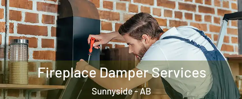 Fireplace Damper Services Sunnyside - AB