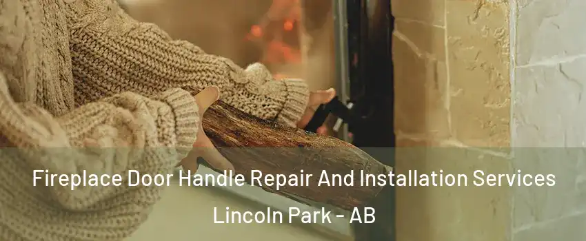 Fireplace Door Handle Repair And Installation Services Lincoln Park - AB