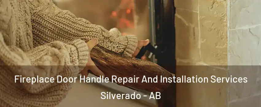 Fireplace Door Handle Repair And Installation Services Silverado - AB