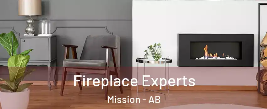 Fireplace Experts Mission - AB