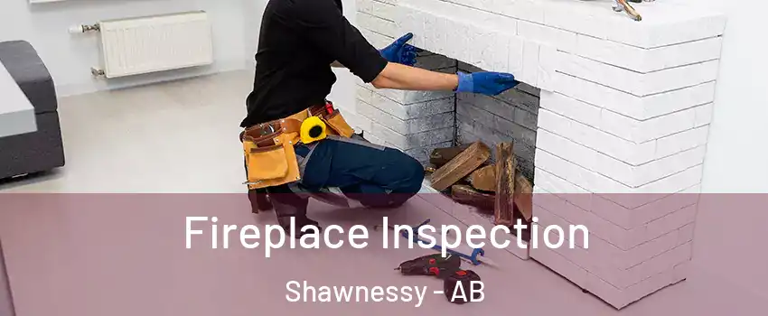 Fireplace Inspection Shawnessy - AB