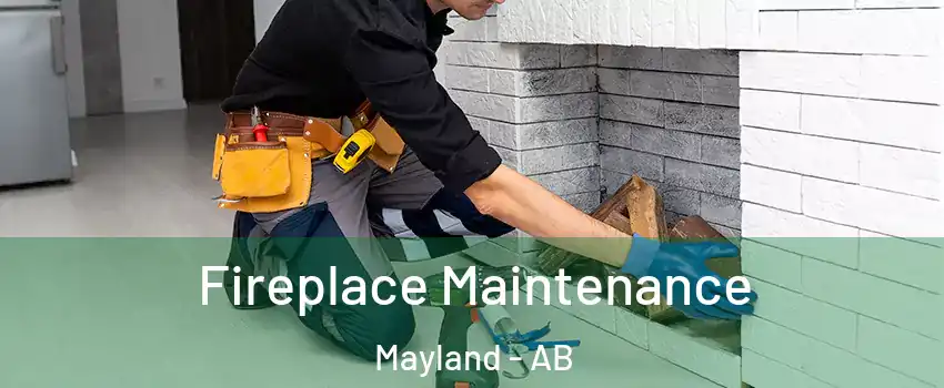 Fireplace Maintenance Mayland - AB