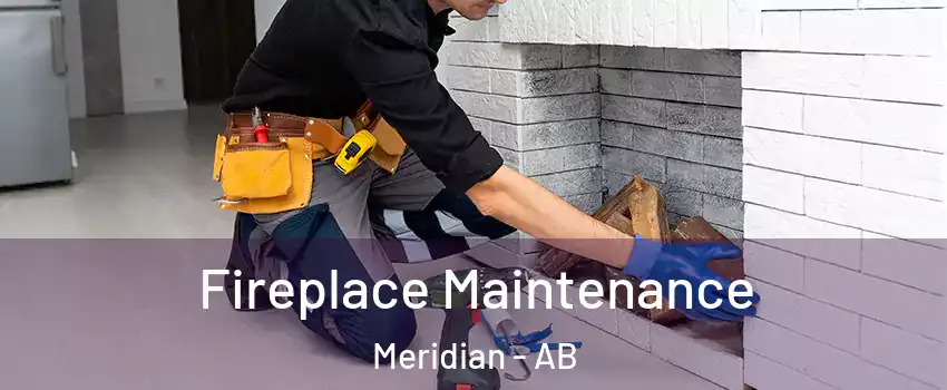 Fireplace Maintenance Meridian - AB