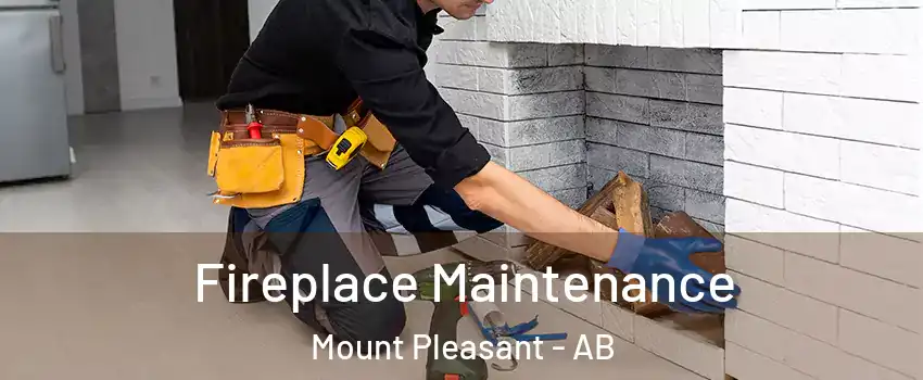 Fireplace Maintenance Mount Pleasant - AB