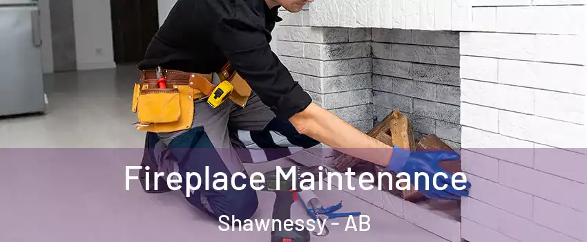 Fireplace Maintenance Shawnessy - AB
