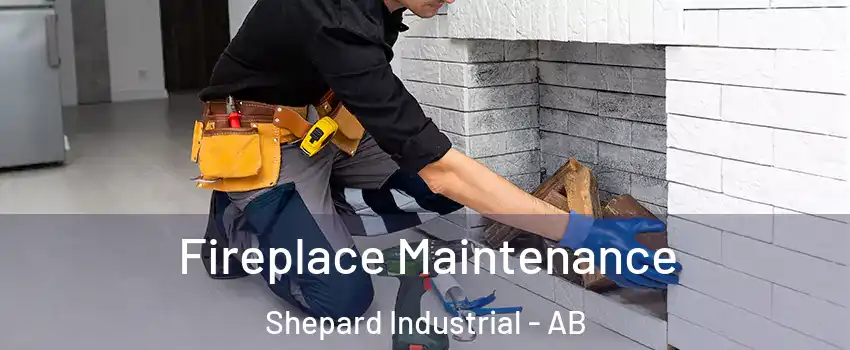 Fireplace Maintenance Shepard Industrial - AB