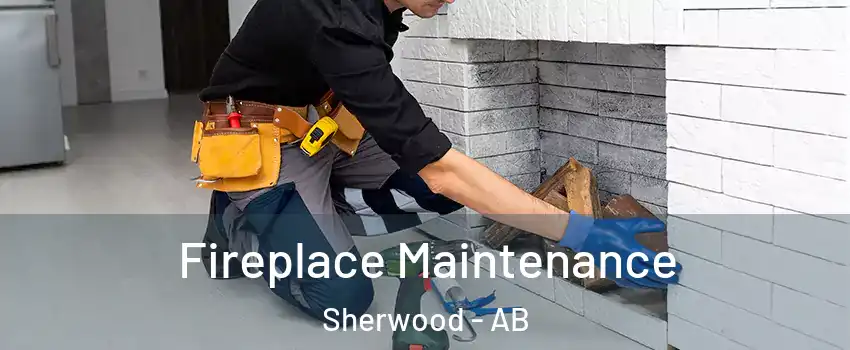 Fireplace Maintenance Sherwood - AB