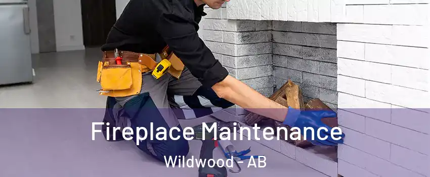 Fireplace Maintenance Wildwood - AB